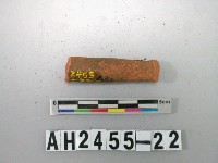 藏品(紅色細砂陶把殘件)的圖片